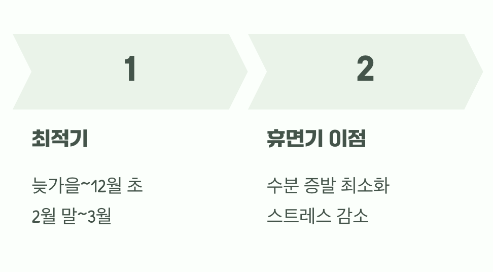 나무가 잠자는 시간을 노리세요