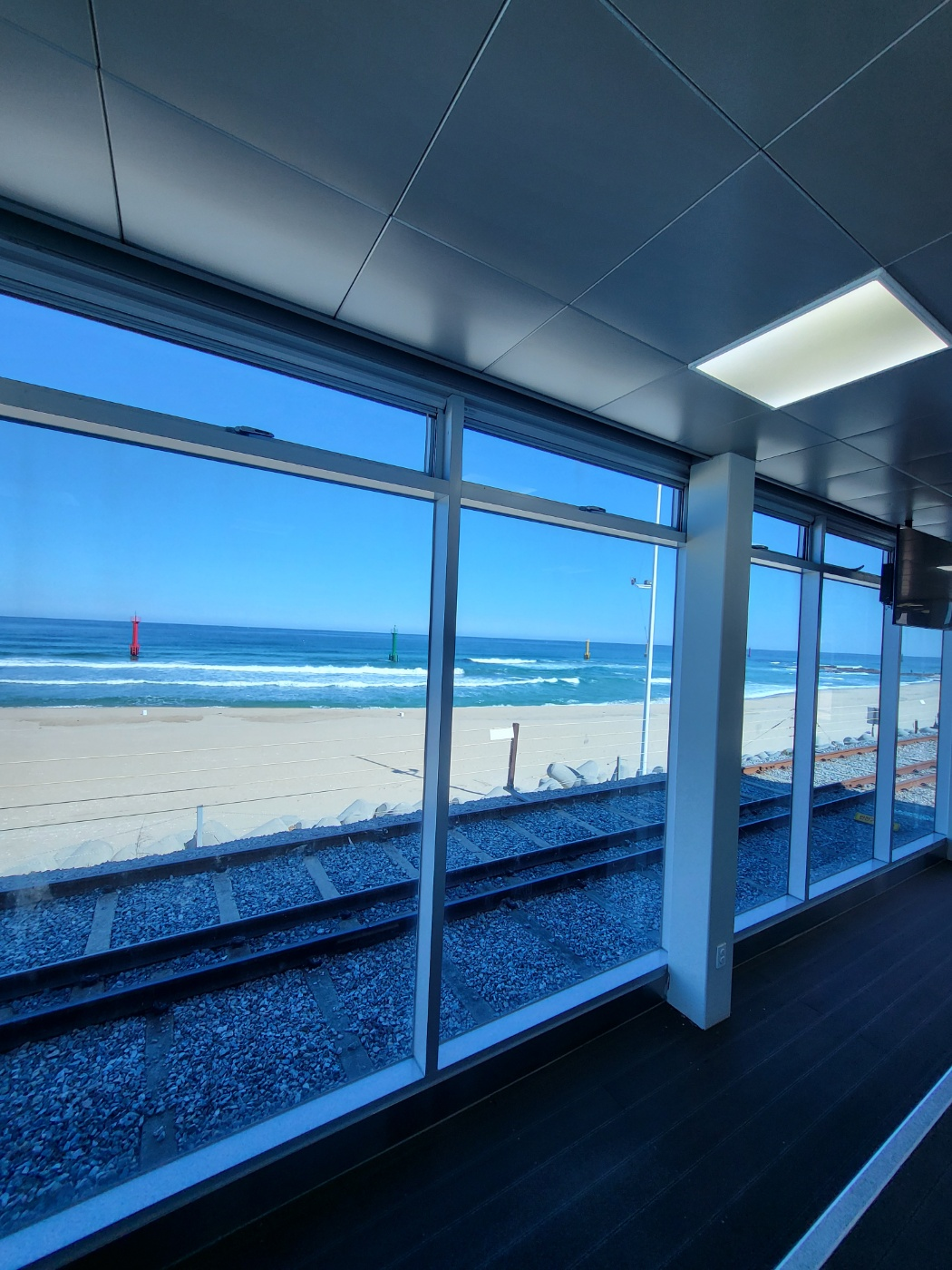 정동진 레일바이크 내돈내산 꿀팁: 모든 타임 매진 주의! 예약 방법과 입장료 정보 총정리