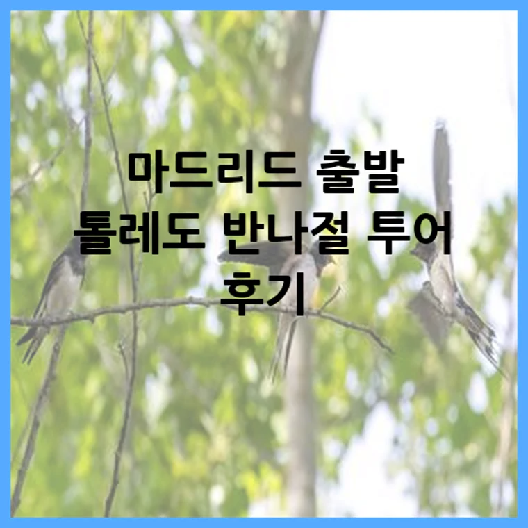 마드리드 출발 톨레도 반나절 투어 후기