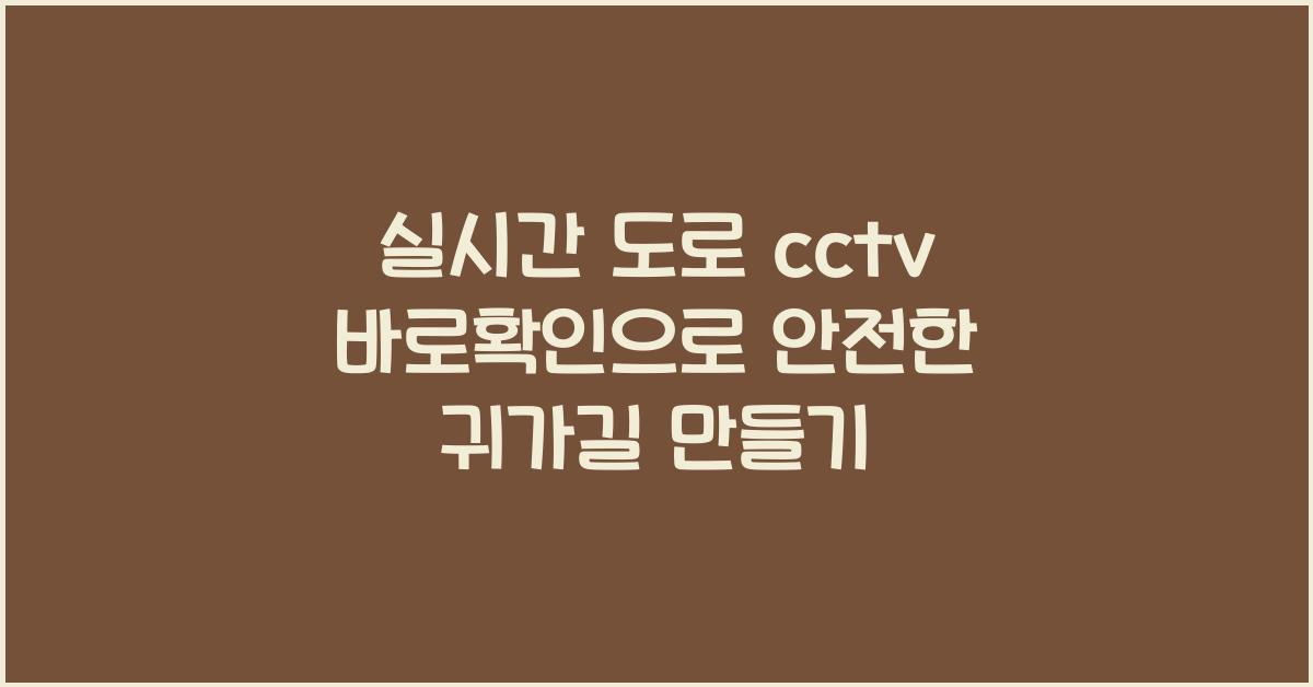 실시간 도로 cctv 바로확인