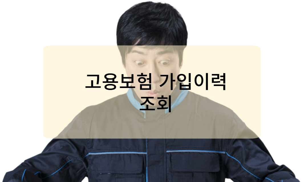 고용보험 가입이력