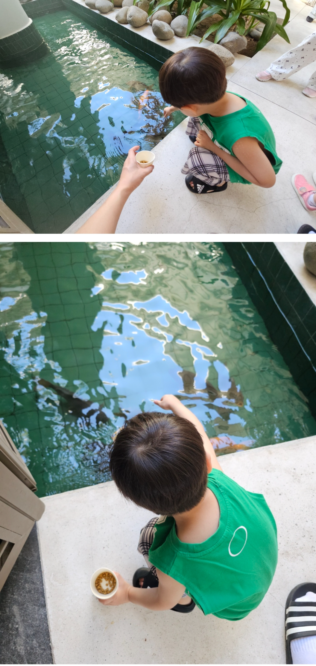 프리미어 빌리지 (이용시설/프로그램/조식 편)