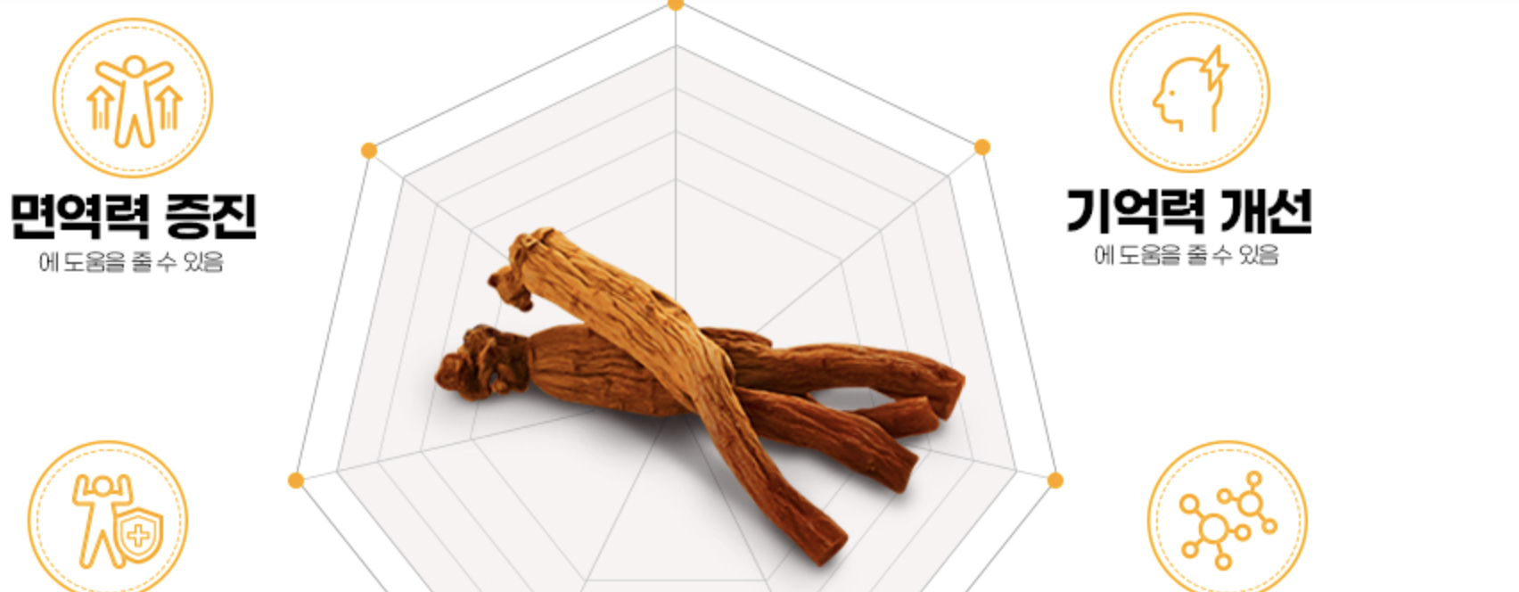 아이클타임-효과-효능