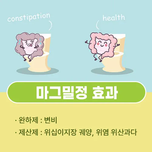 마그밀정 효과