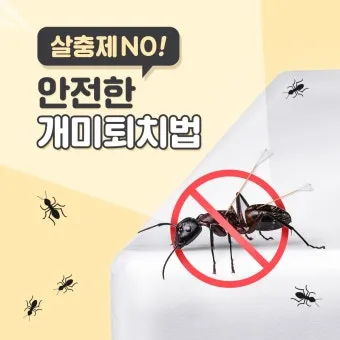 해충 퇴치 개미 박멸 설탕과 베이킹소다 통로 차단_9