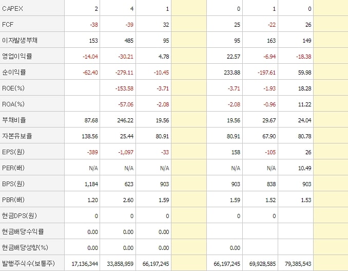 골든퍼시픽-재무제표2