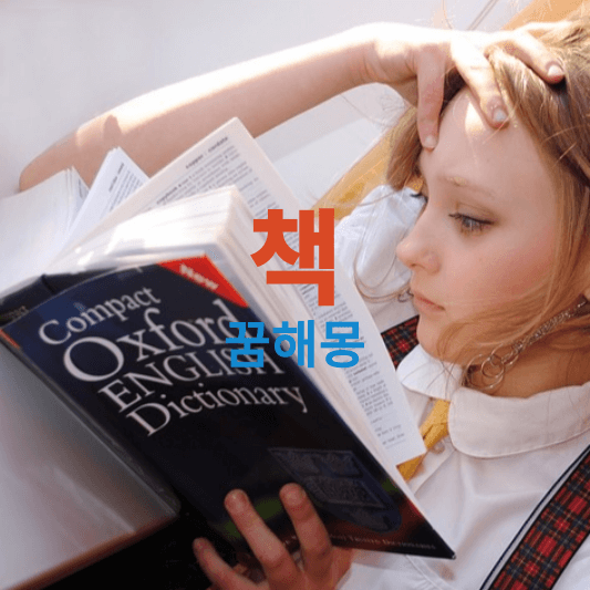 책 꿈해몽 풀이, 꿈에 책이 나오면 길몽인 경우가 많습니다 하지만 흉몽도 있어요!