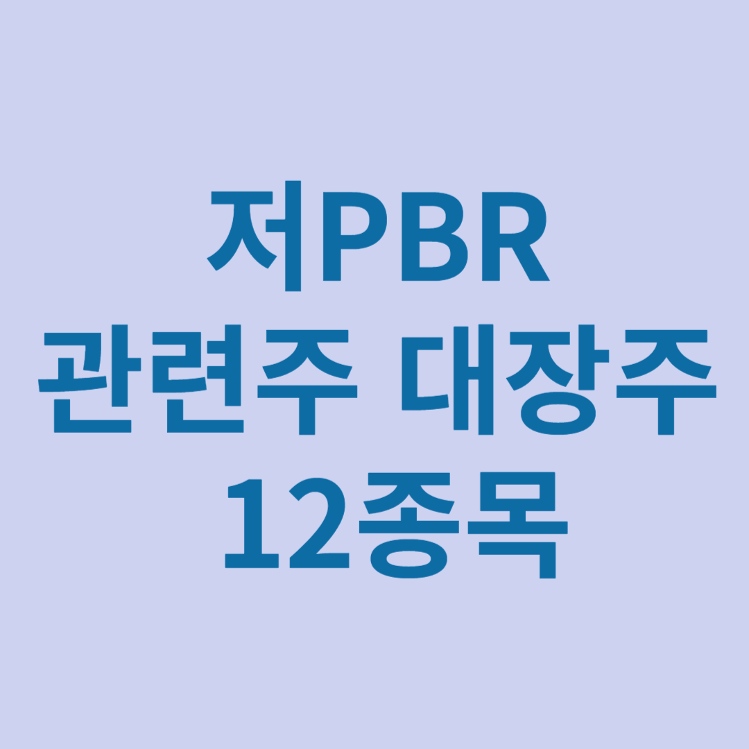 저pbr 관련주 대장주 12종목