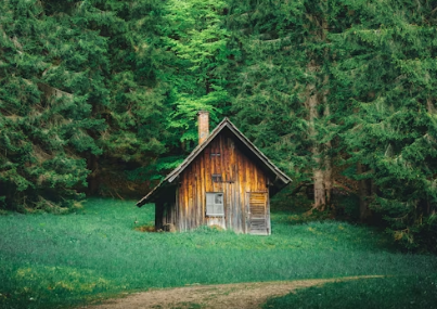 열대야 대처방법3