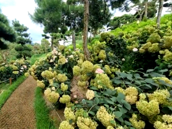 특색있고 아름다운 민간 정원 30선 추천 여행 - 07. 청주 공간정원