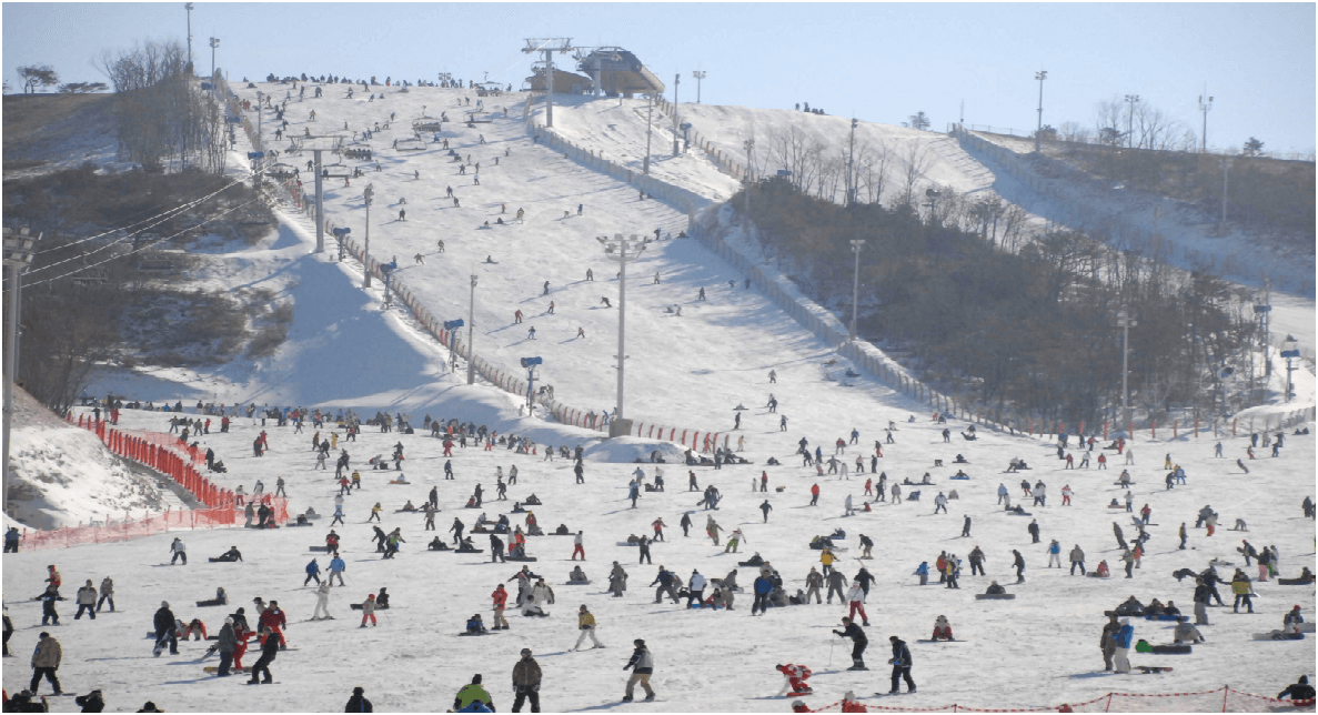 2025 설 연휴 경남 아이들과 가볼만한 곳 (3편 : 볼거리, 즐길거리, 먹거리가 있는 체험‧테마파크)