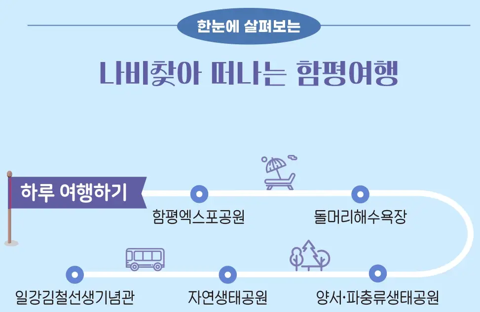 함평나비축제 기간, 주차장, 행사내용
