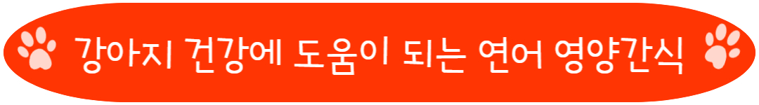 강아지 건강에 도움이 되는 연어 영양간식