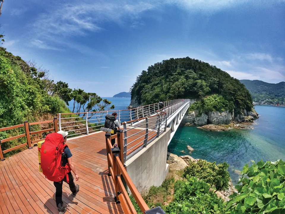 통영 연화도 수국 꽃길 산책 코스와 최적 관람 시기_5