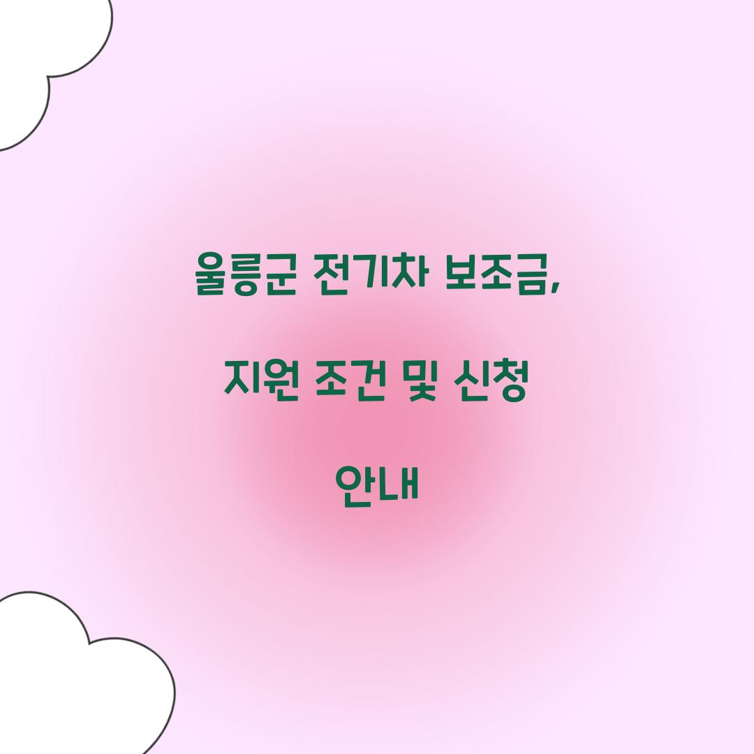 울릉군 전기차 보조금