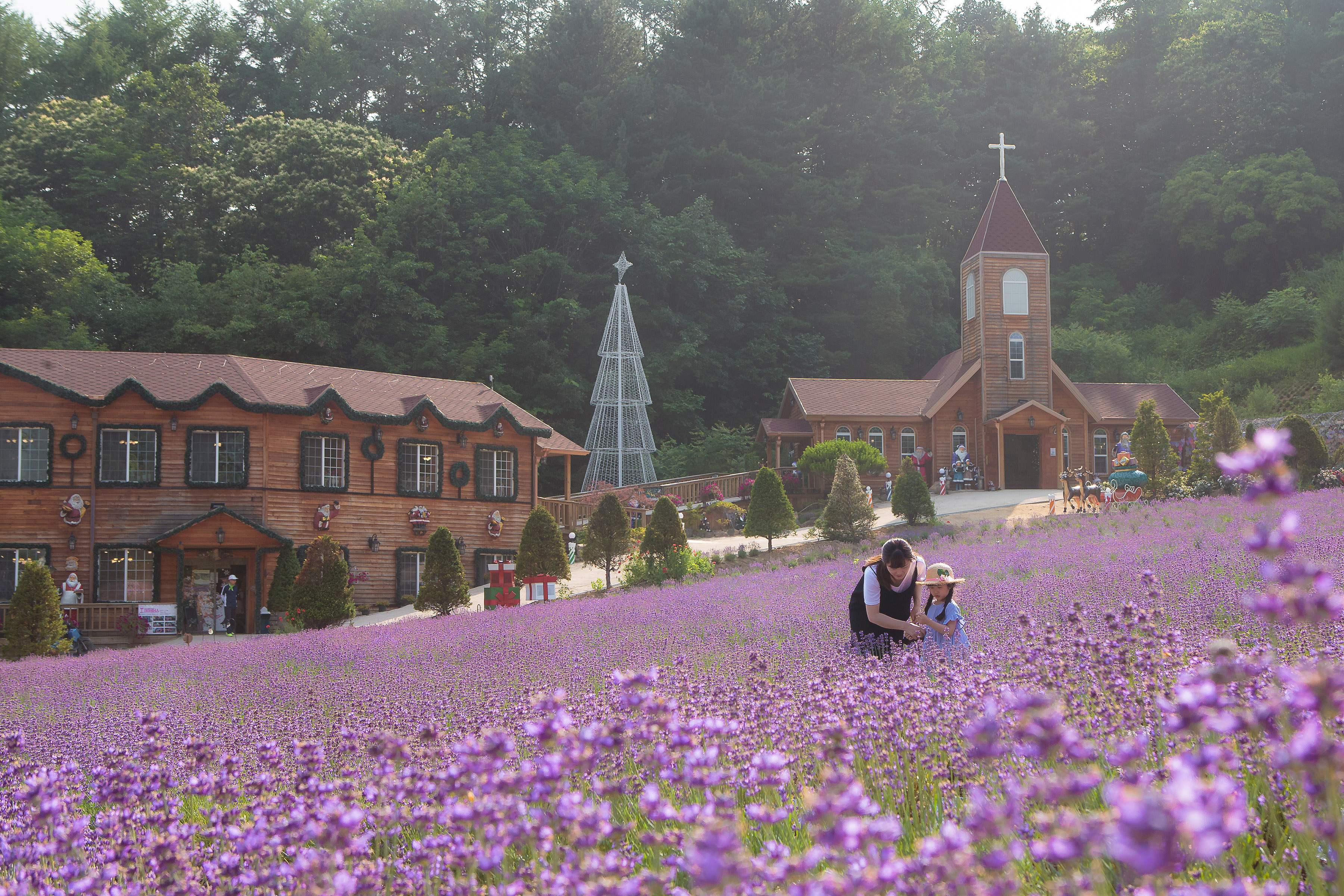 포천 허브아일랜드