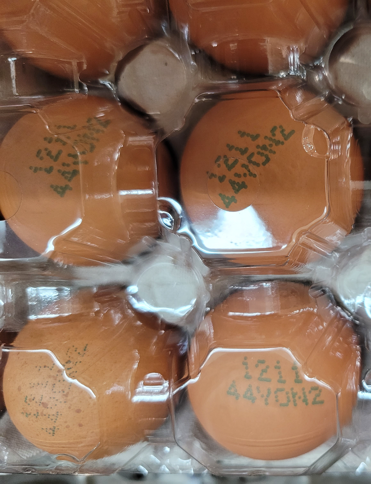 신선하고 좋은 계란 고르는 법3