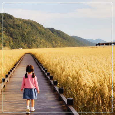 순천만 습지 갈대밭 이미지