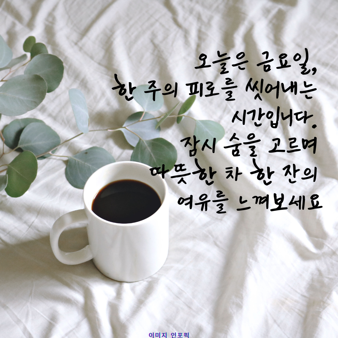 금요일 아침 인사말 이미지 문구 모음집