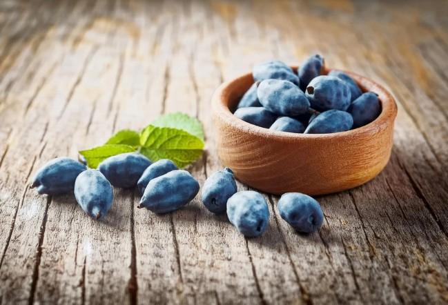 하스카프베리 효능