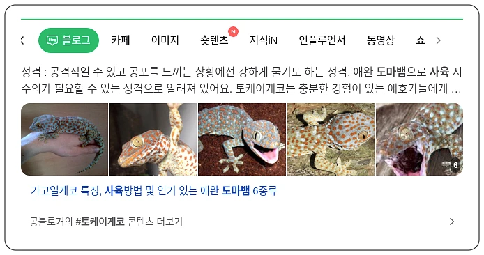 도마뱀 사육_1_subsection