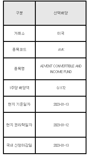 미국주식 선택배당 안내 AVK