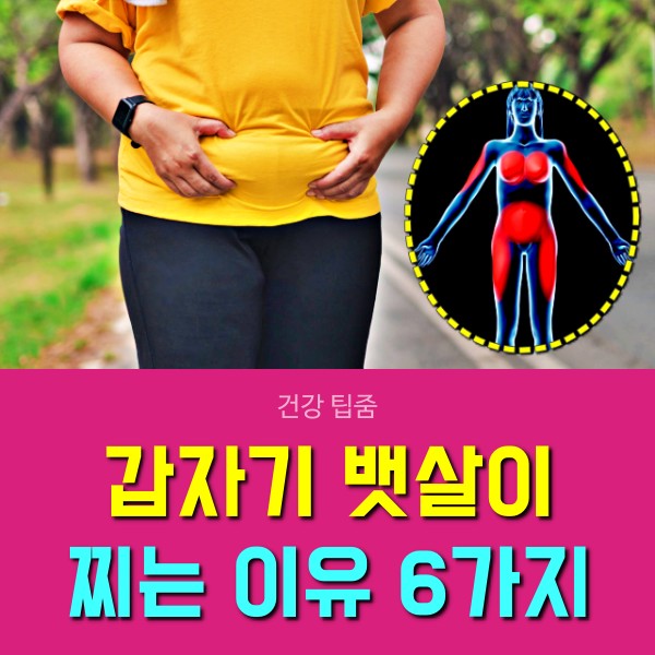 갑자기 뱃살이 찌는 이유, 팔뚝살, 여자 뱃살, 남자 뱃살, 건강 다이어트 팁줌 매일꿀정보