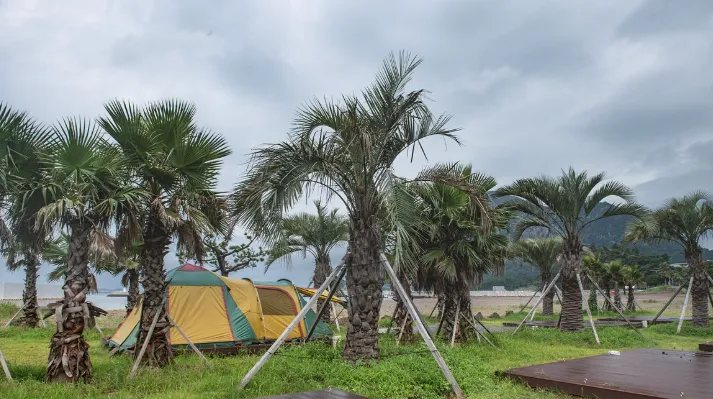 화순리 금모래 캠핑장