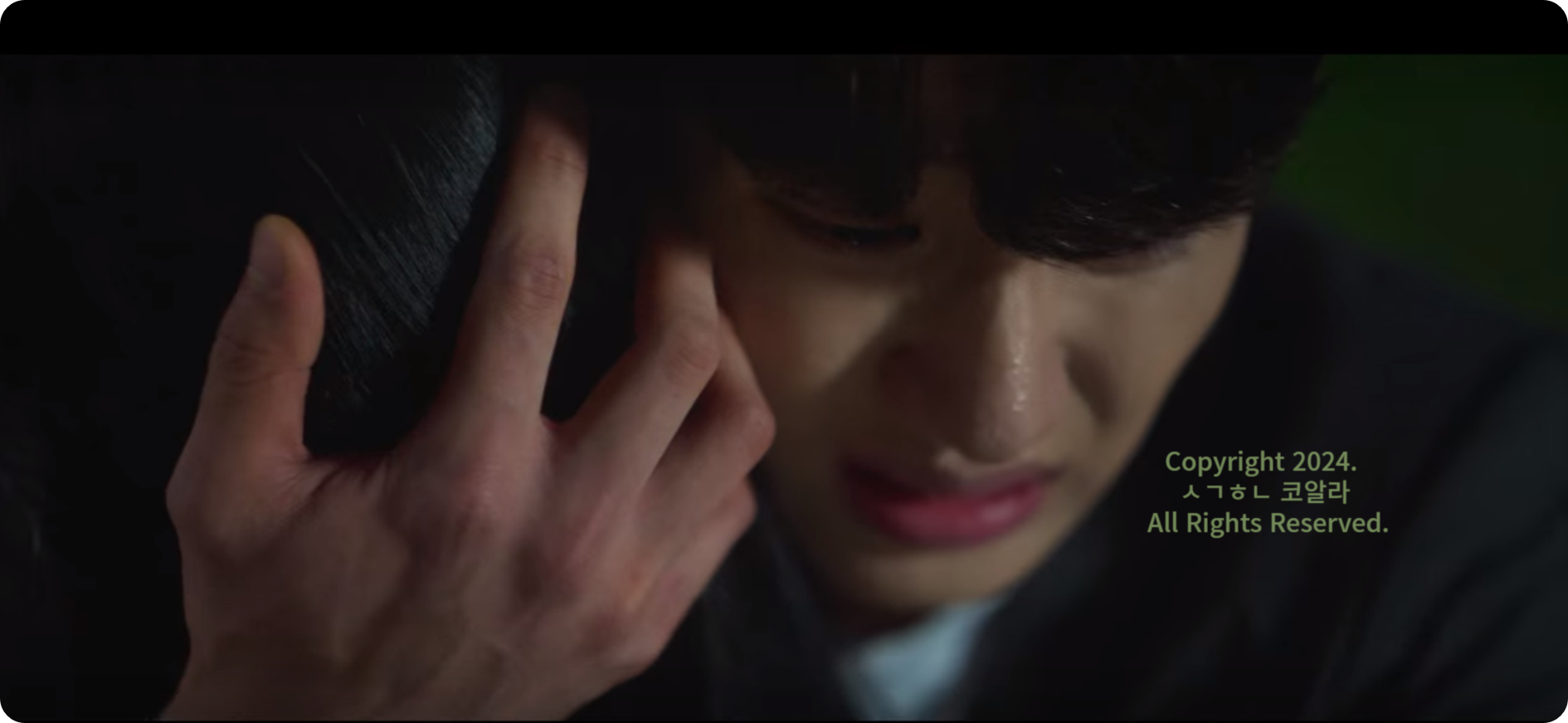 넷플릭스하이라키 정보 출처 넷플릭스 공식 에고편