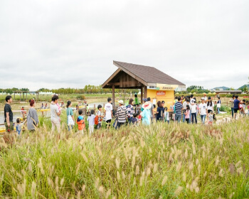 시흥갯골축제_16