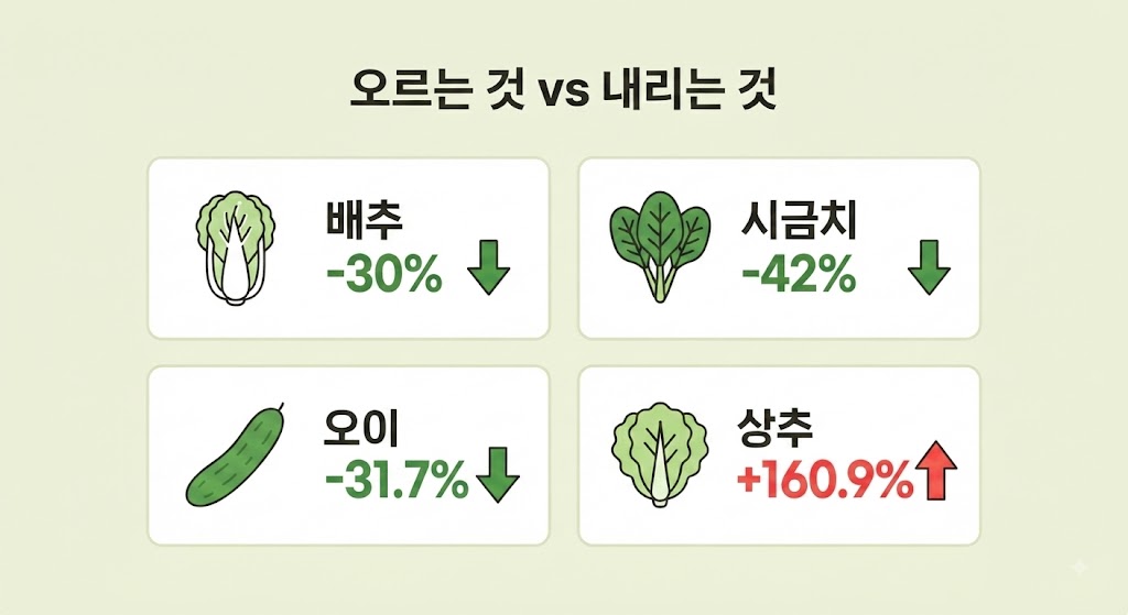 여름 채소값 품목별 등락률, 배추&middot;시금치&middot;오이 하락과 상추 급등 비교 정보그래픽