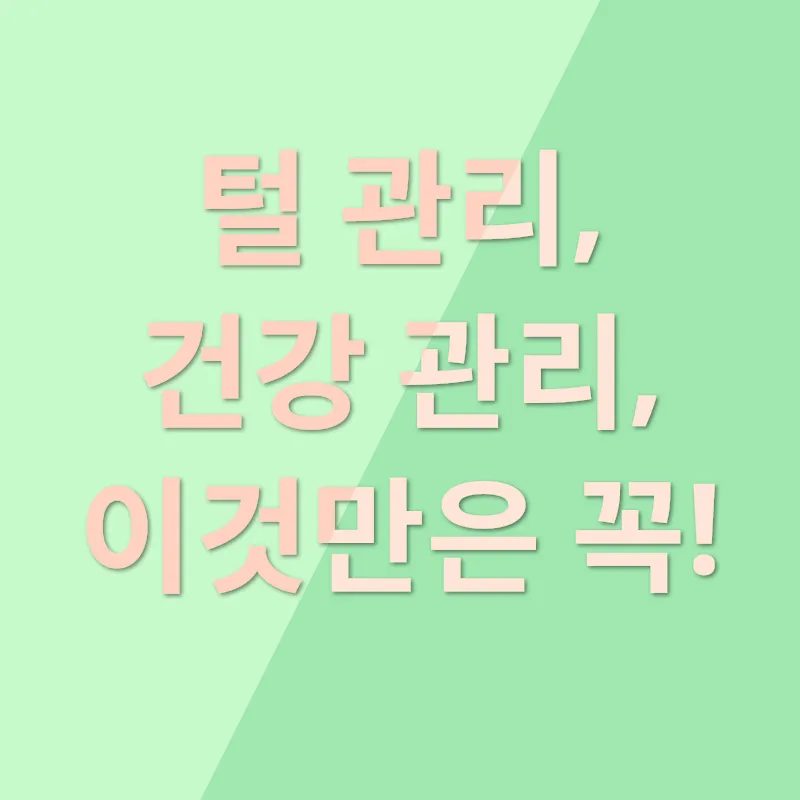 곱슬고양이_3