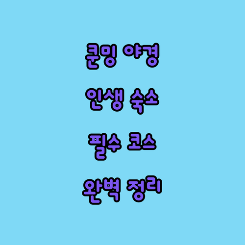중국 쿤밍 야경 여행 코스 옛 거리와..