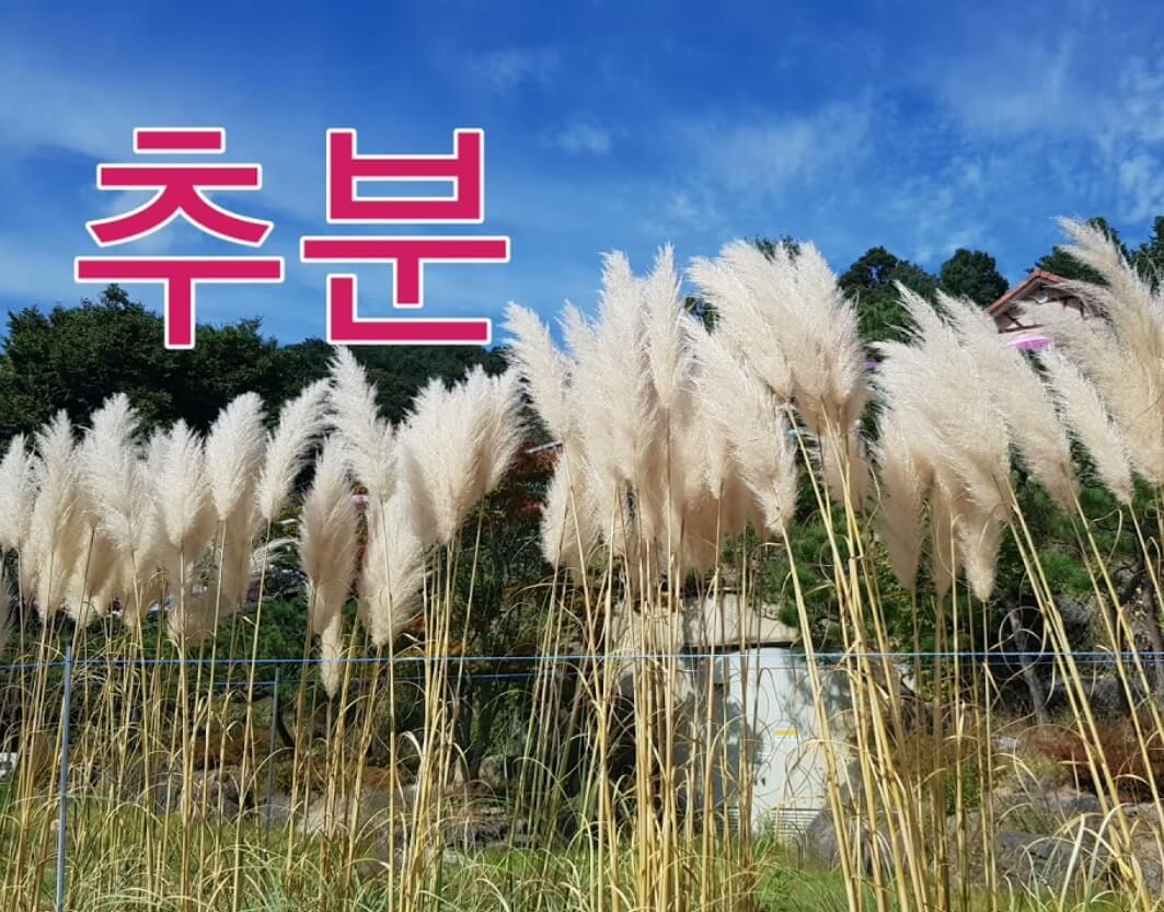 가을 절기 추분