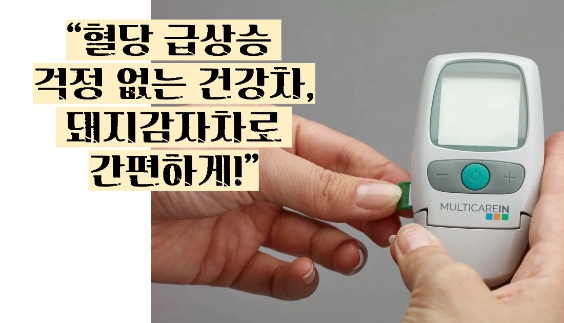 돼지감자차 효능과 부작용