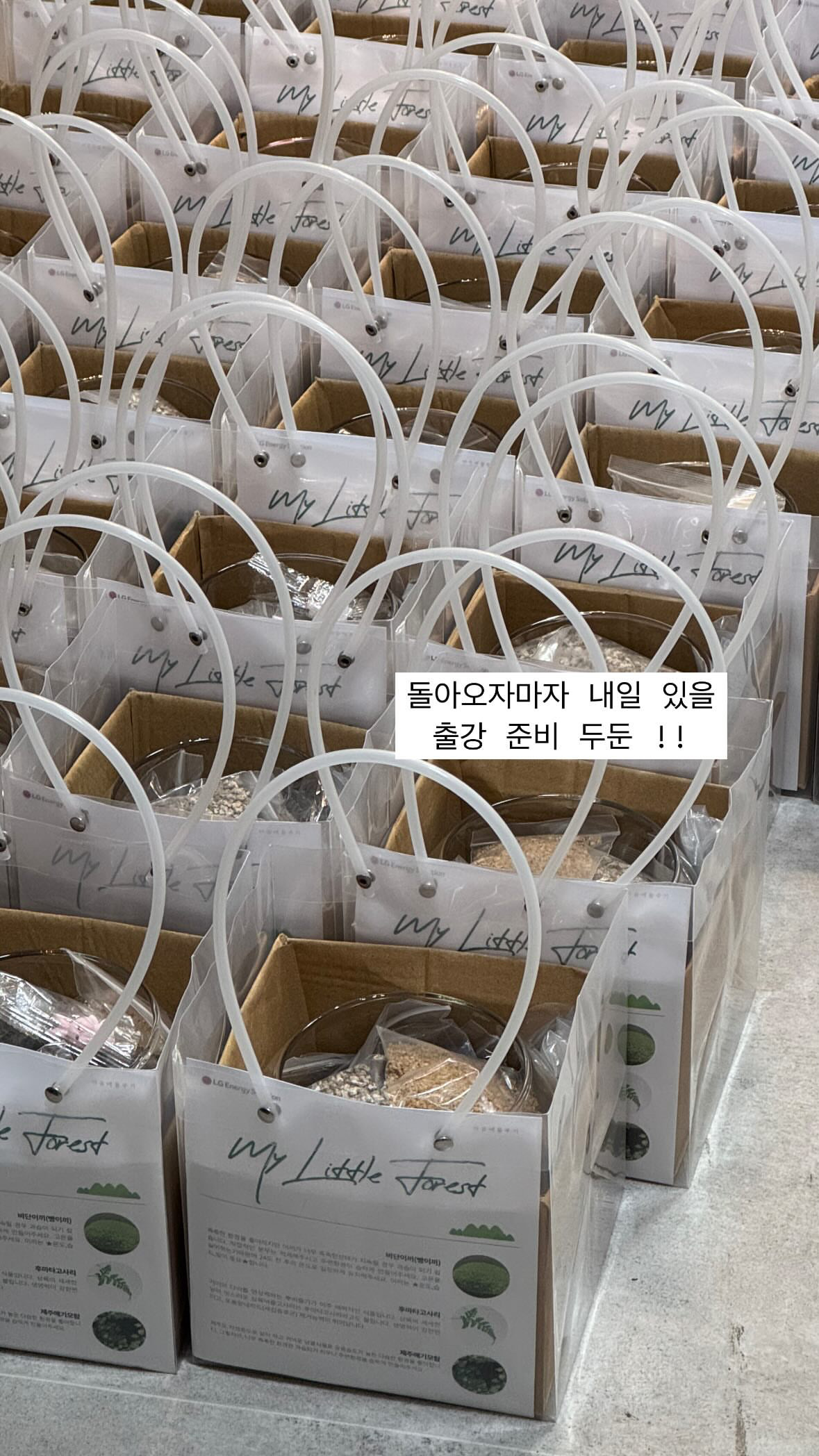 경기도 테라리움 워크숍 키트