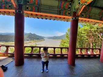 양산 가볼만한곳 추천 맛집 카페 여름 BEST 10_5