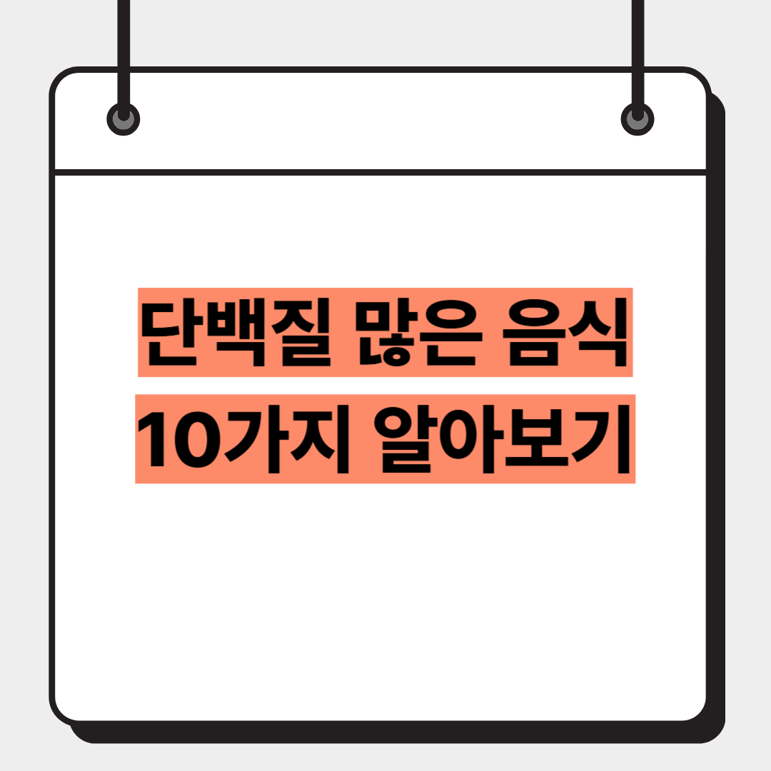 단백질 많은 음식 10가지 알아보기
