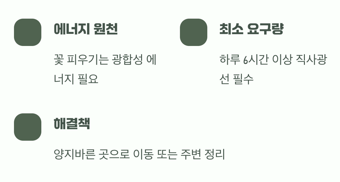 햇빛이라는 보약이 부족해요