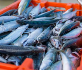 고지혈증에 좋은 음식 영양제 식단