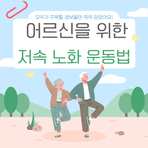 지역별 중년 여가생홀 가이드