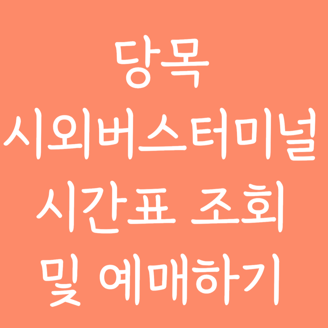 당목 시외버스터미널 시간표 조회 및 예매하기