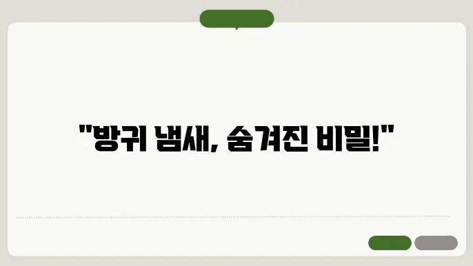 방귀 냄새 완화 방법