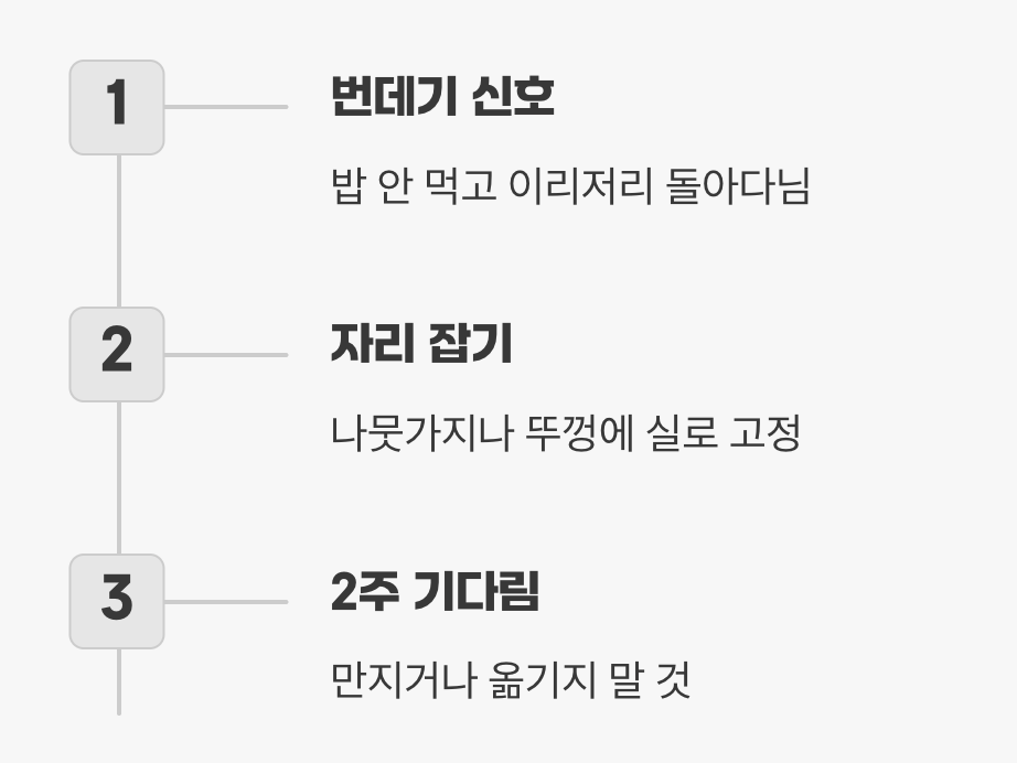 고요한 기다림, 날갯짓을 위한 준비