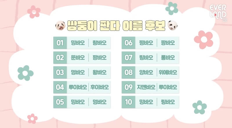 에버랜드 쌍둥이 판다 이름 후보 10개