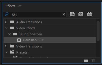 Gaussian Blur 효과 선택 사진