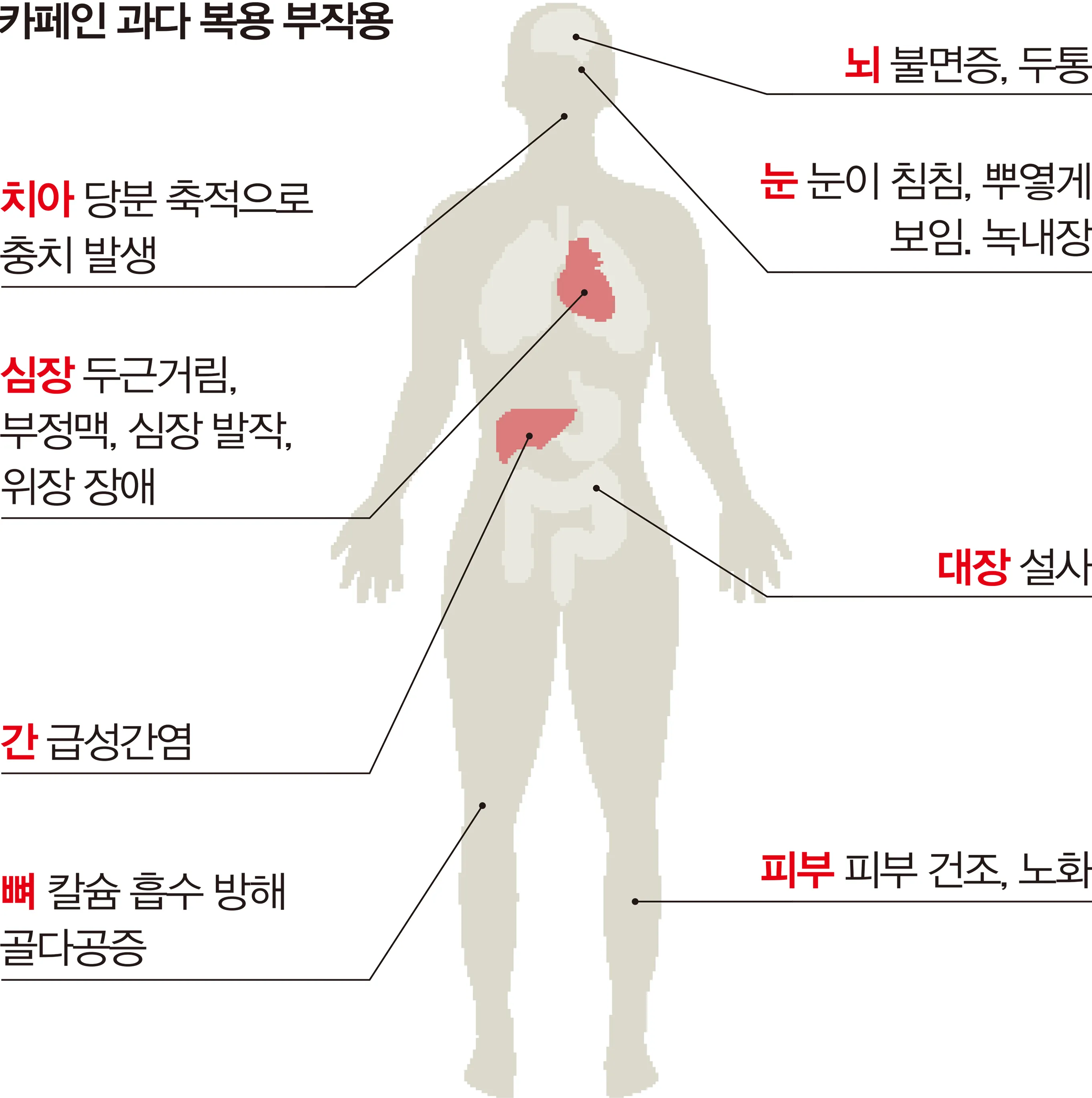 카페인 부작용 중독 증상 두통 원인 정리 정보_6
