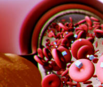 저혈당이 오는 이유