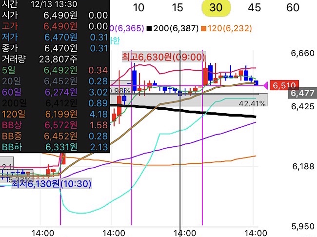 시간외단일가19
