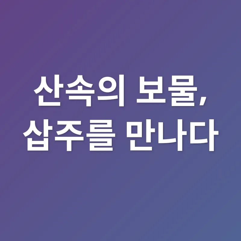 삽주 효능_1